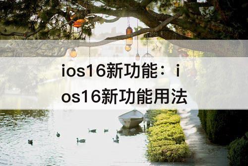 ios16新功能：ios16新功能用法