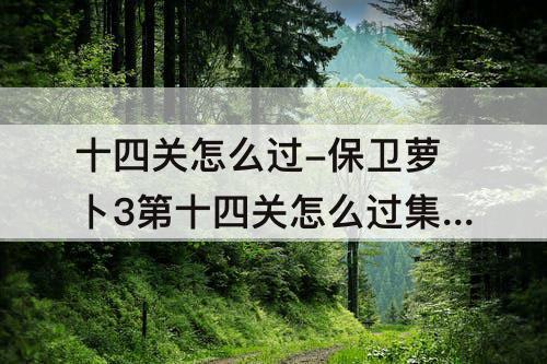 十四关怎么过-保卫萝卜3第十四关怎么过集市