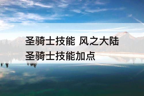 圣骑士技能 风之大陆圣骑士技能加点
