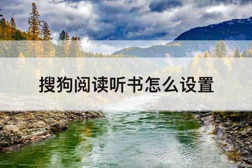 搜狗阅读听书怎么设置