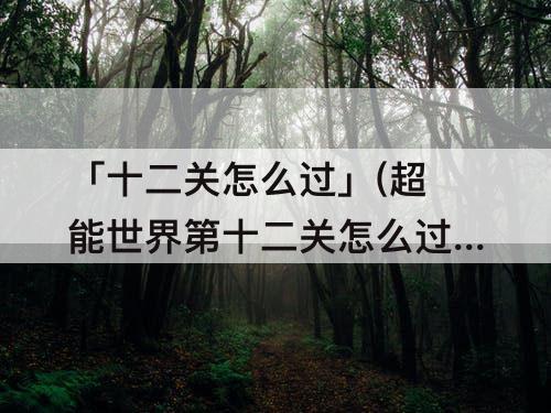 「十二关怎么过」(超能世界第十二关怎么过)