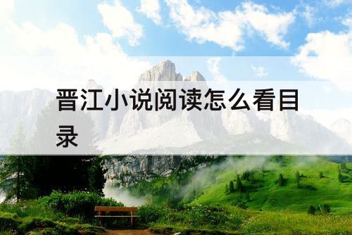 晋江小说阅读怎么看目录