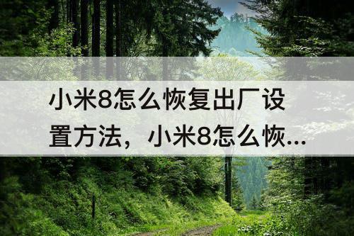 小米8怎么恢复出厂设置方法，小米8怎么恢复出厂设置方法视频