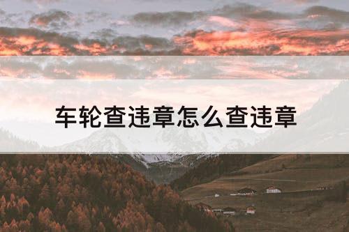 车轮查违章怎么查违章