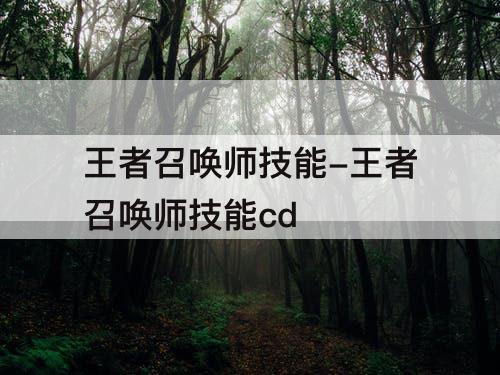 王者召唤师技能-王者召唤师技能cd