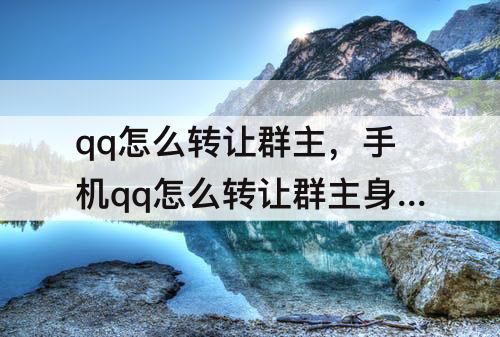 qq怎么转让群主，手机qq怎么转让群主身份