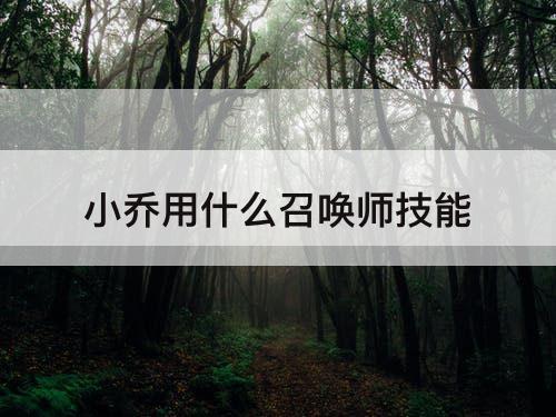 小乔用什么召唤师技能