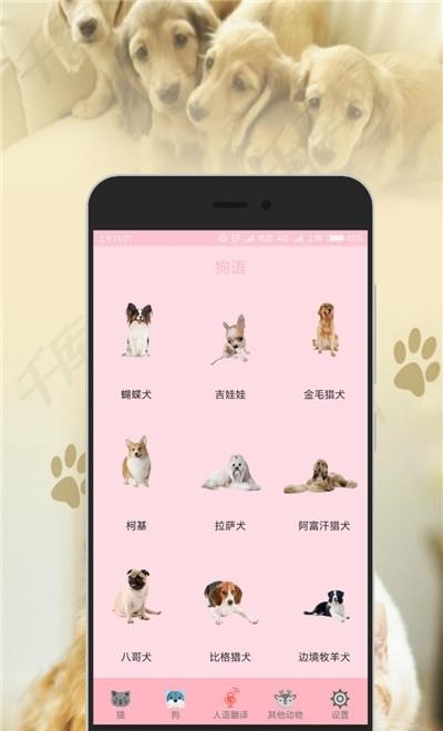 狗语翻译器
