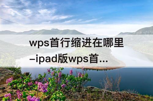 wps首行缩进在哪里-ipad版wps首行缩进在哪里