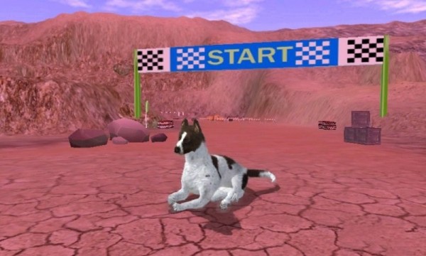 猎犬模拟器  v1.1.0图1