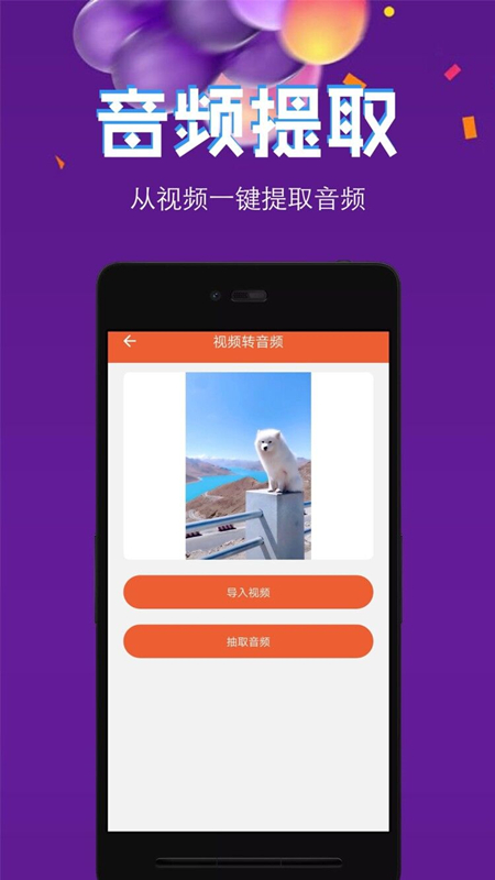 音频提取格式转换  v2.95图1