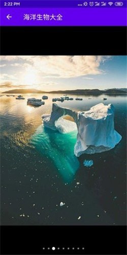 海洋生物大全  v1.0图1