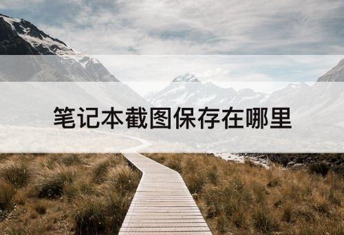 笔记本截图保存在哪里