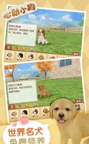 我的心动小狗  v1.0图5