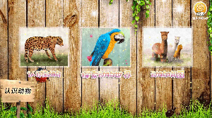 认识动物  v1.1.3图1