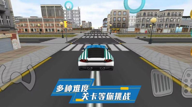 炫酷汽车驾驶  v1.0图1