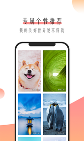 米柚壁纸  v1.0.3图4