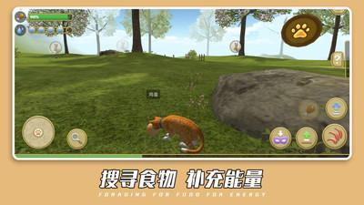 可爱萌宠世界  v1.0.2图3