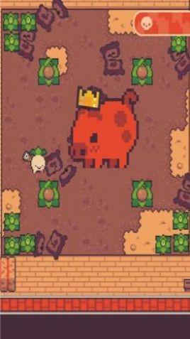 大头菜小子  v1.1.8图1