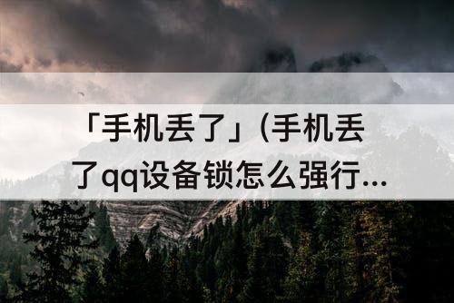 「手机丢了」(手机丢了qq设备锁怎么强行解除)
