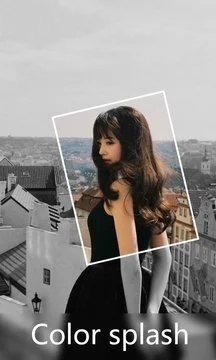 Lidow  v4.95图1