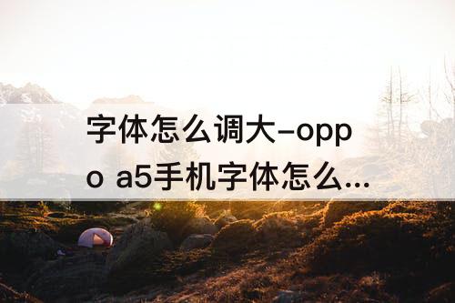 字体怎么调大-oppo a5手机字体怎么调大