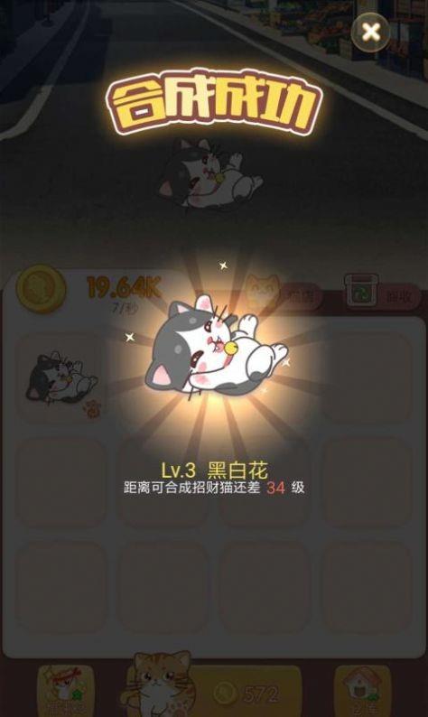 淘喵喵