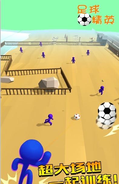 足球精英  v1.0图1