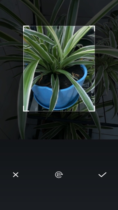 植物扫描辨识  v1.0图2