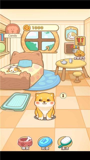 狗狗乐园  v1.0图2