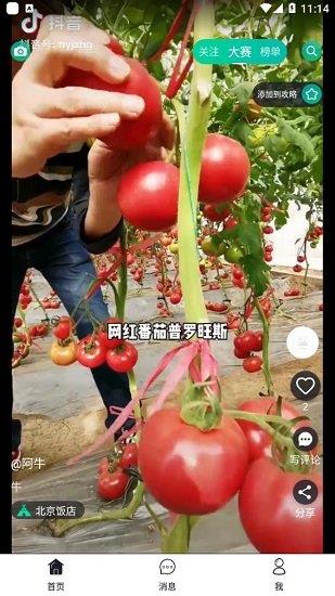 彼方短视频最新版  v1.0.3图3