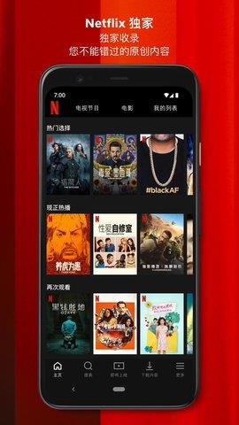 netflix奈飞中文影视官方