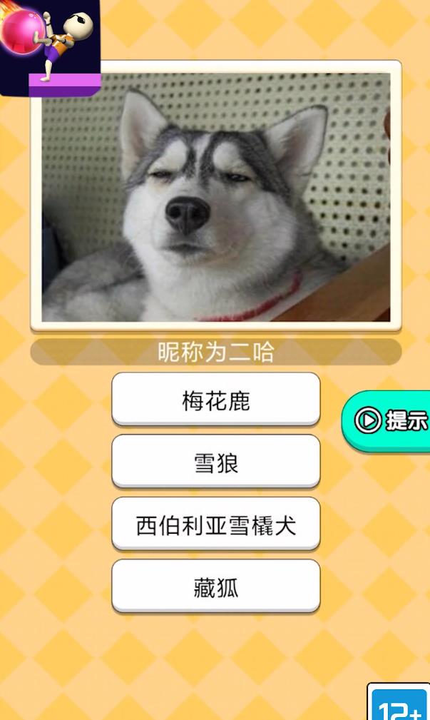 魔音球球红包版  v1.0图1