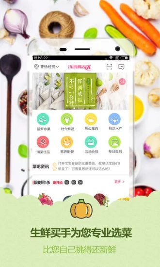 淘菜猫