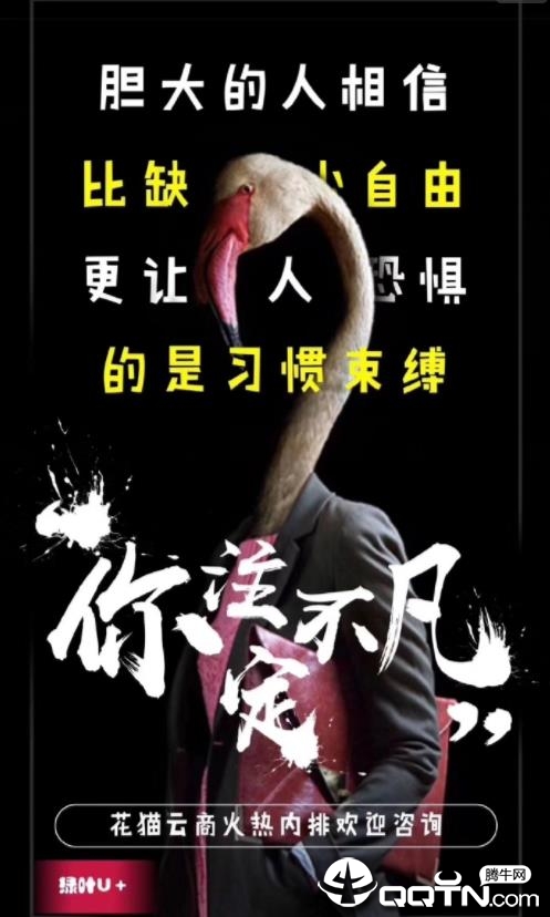 花猫云商  v2.4.3图3