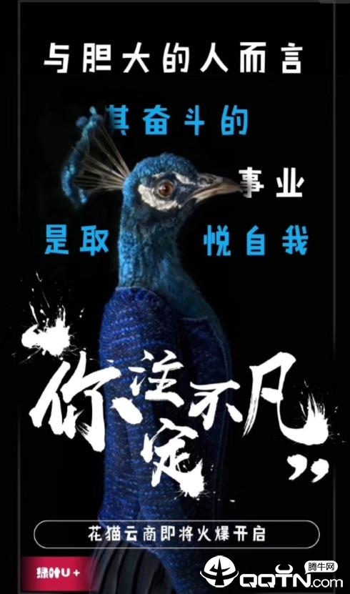 花猫云商