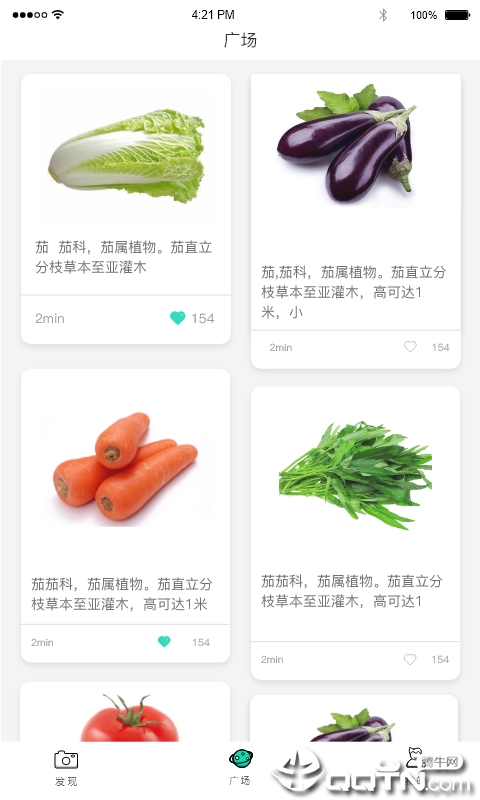 识菜君