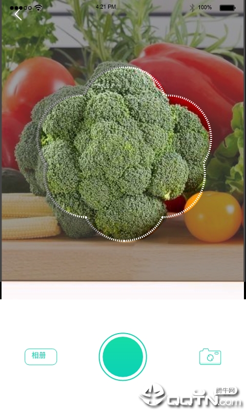 识菜君  v1.0.0图2