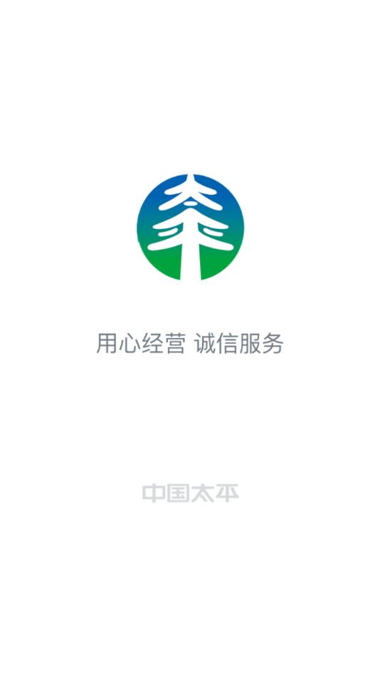 太平智定损