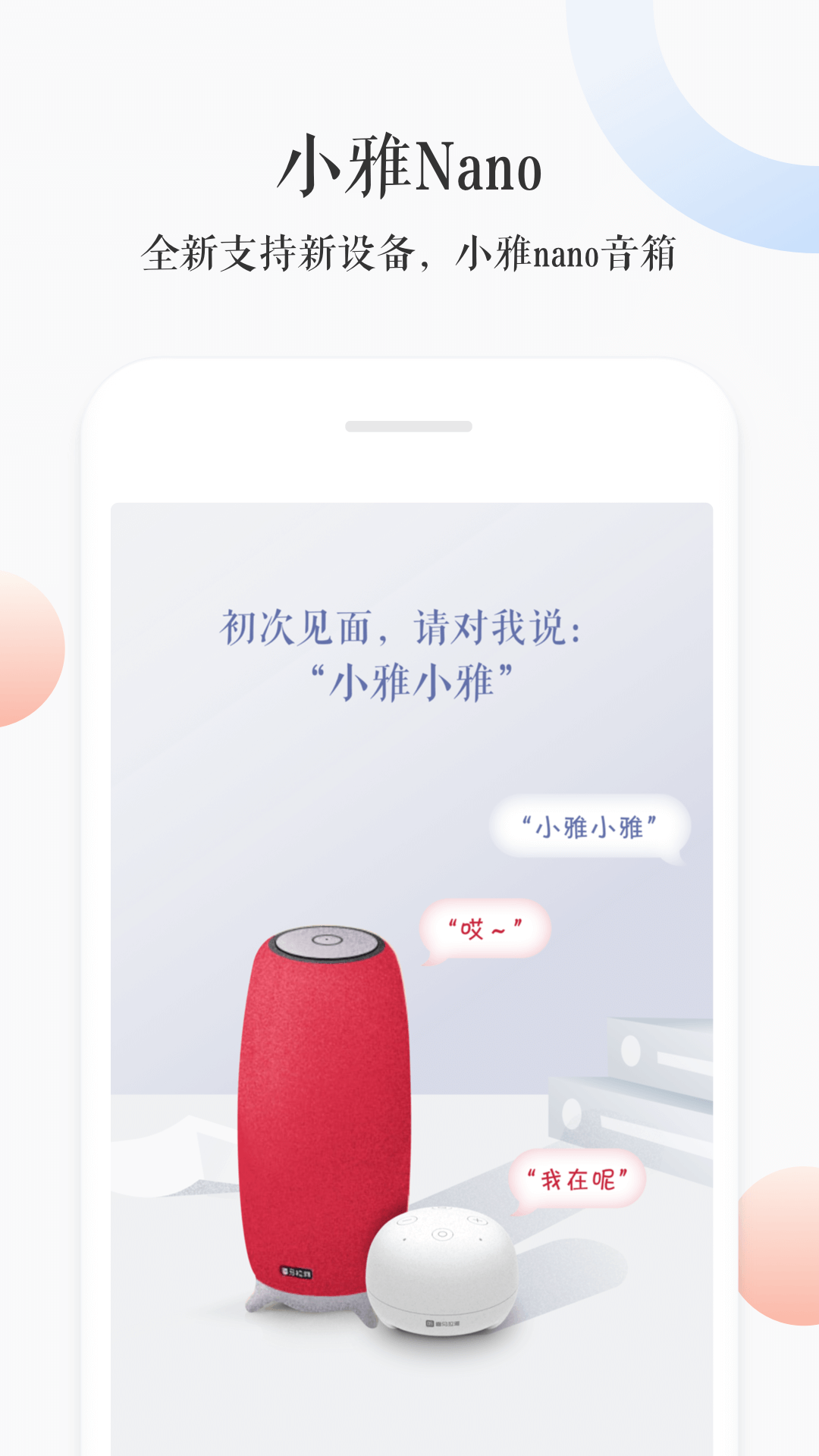 小雅
