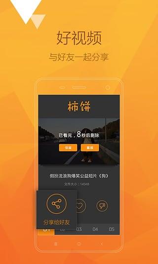 柿饼(短视频)