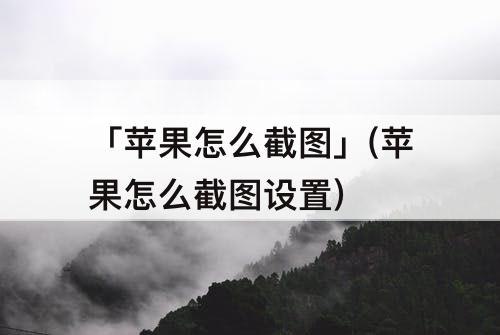 「苹果怎么截图」(苹果怎么截图设置)