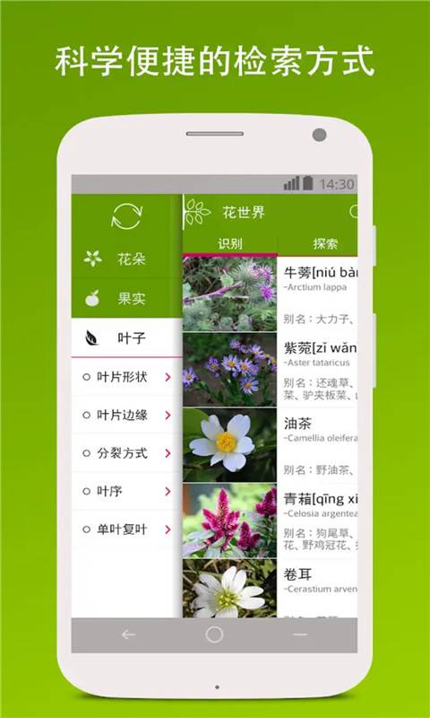 识花形色  v2.1.538图1
