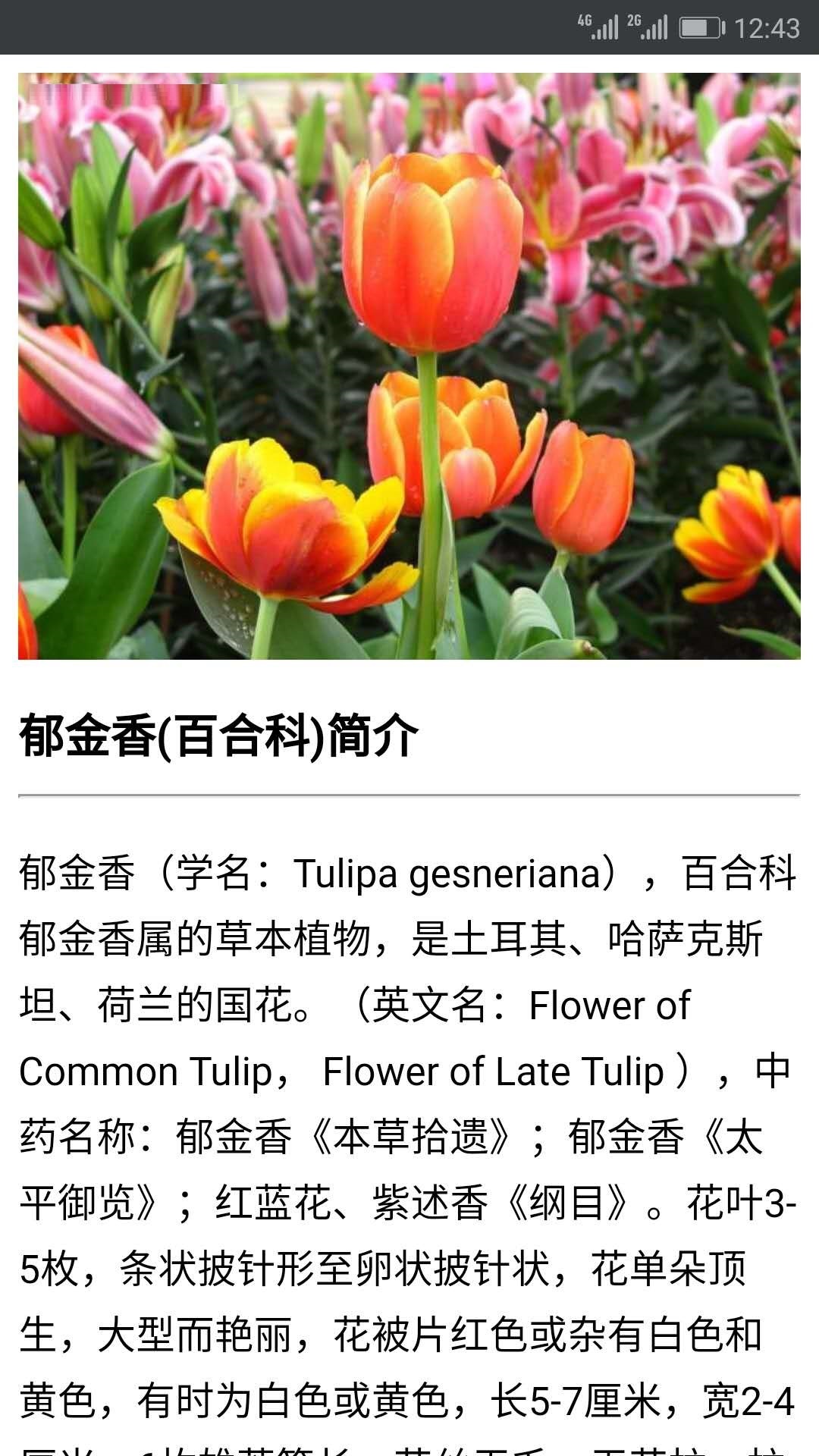 行色识花  v2.0.8.20图3