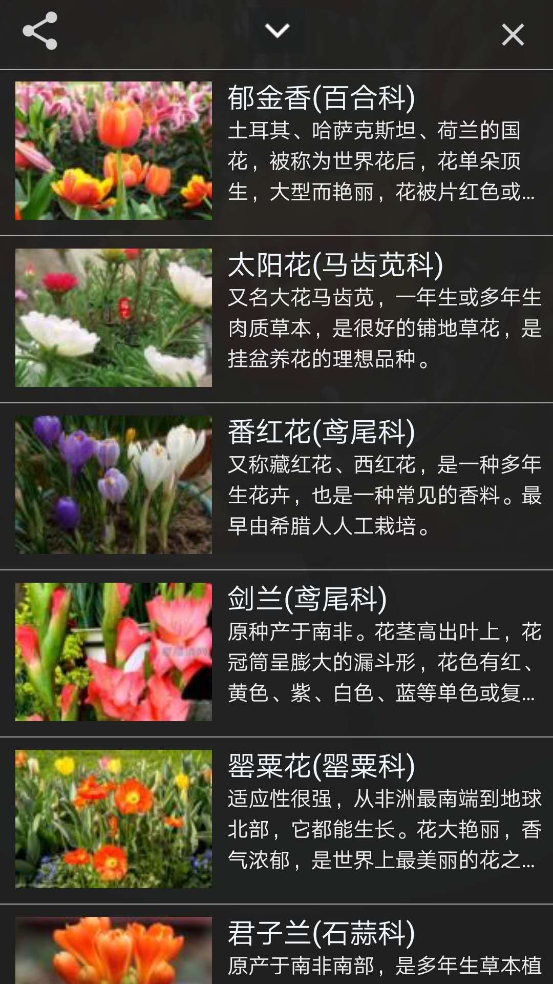 行色识花
