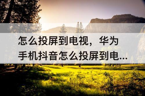 怎么投屏到电视，华为手机抖音怎么投屏到电视