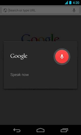 谷歌浏览器  v1.5图3