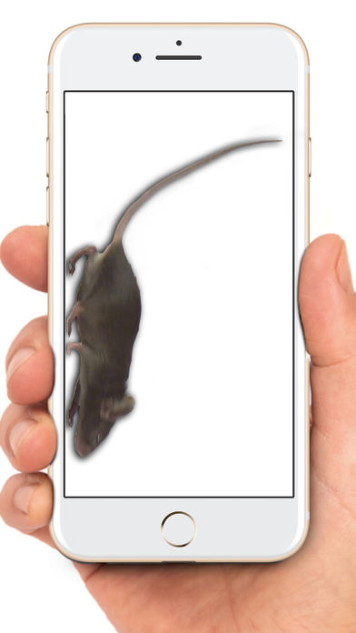mouse on screen scary joke