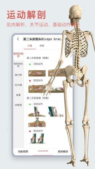 3Dbody艺用  v8.5.20图1