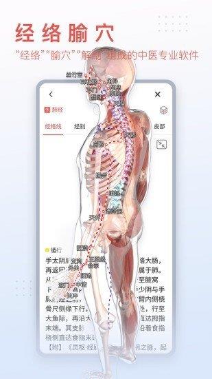 3Dbody艺用  v8.5.20图2